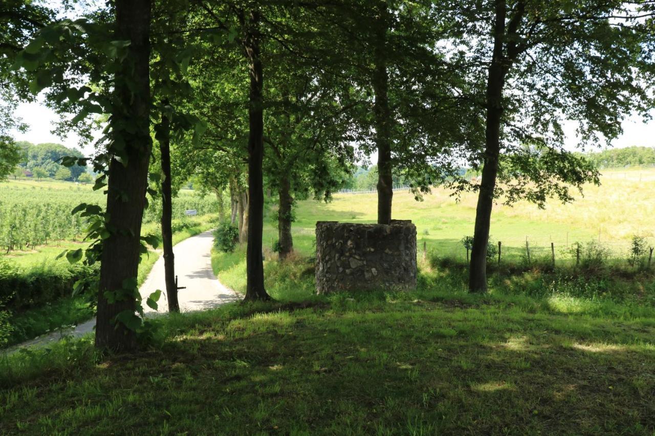 Bed & Breakfast Luxe Vroelen-noorbeek *